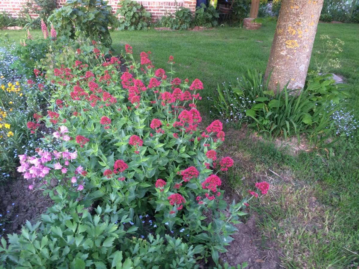Les Coquelicots Villa Nibas Exterior foto
